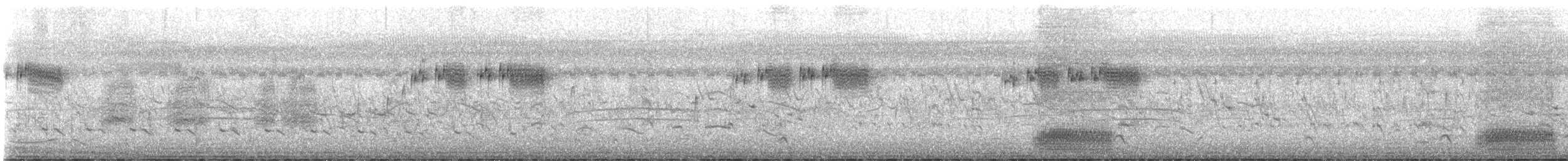 West Himalayan Bush Warbler - ML619834149