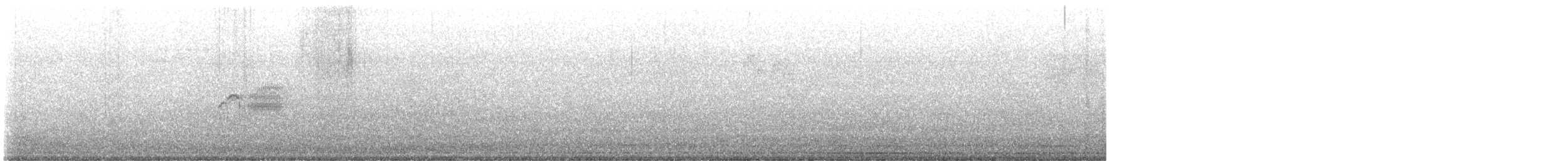 Светлобрюхий фиби - ML619834430
