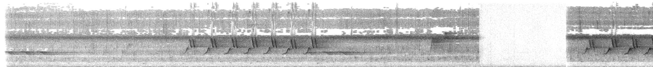 Kentucky Warbler - ML619835264