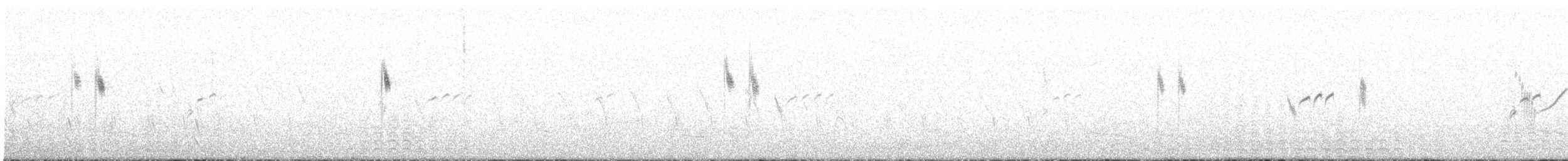 Gray Wagtail - ML619835852