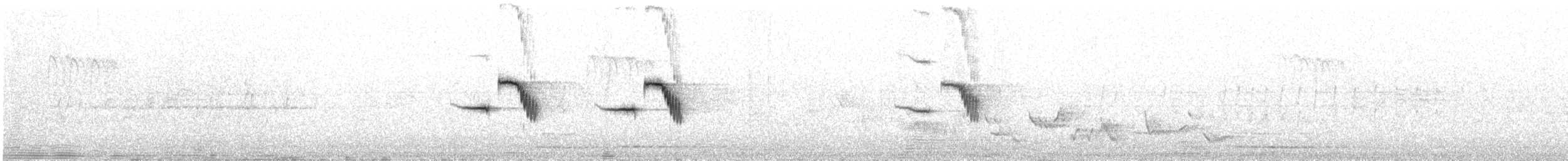Blyth's Reed Warbler - ML619836388