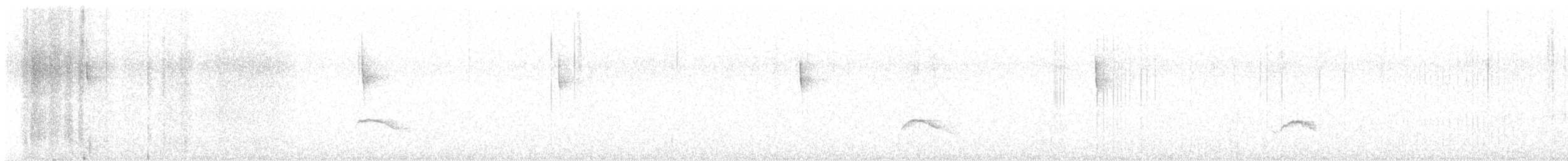 White-crested Elaenia - ML619837626