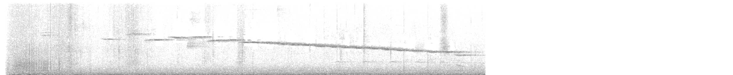 Paruline à paupières blanches - ML619837882