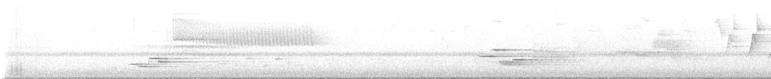 Paruline vermivore - ML619838432