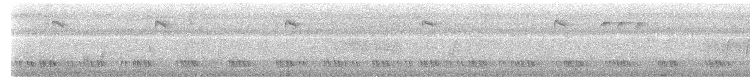Kara Kulaklı Barbet - ML619838945