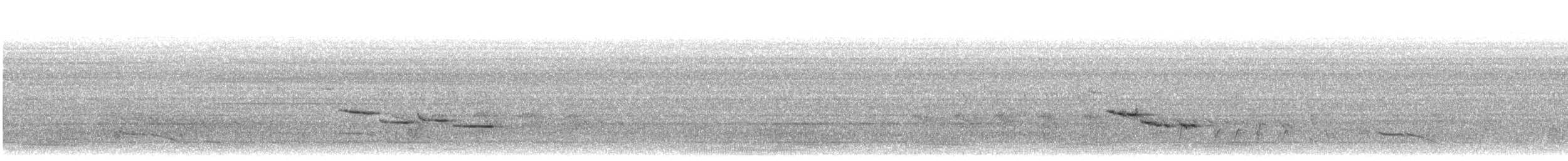 Papamoscas de Manglar (grupo blythi) - ML619839249