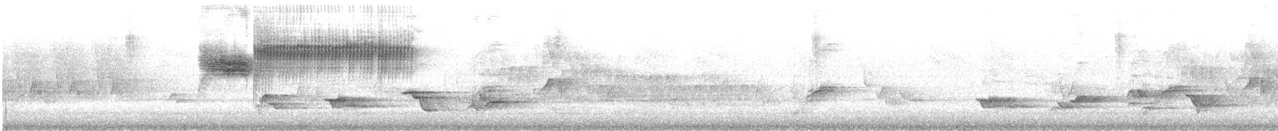 Голубокрылая червеедка - ML619839514