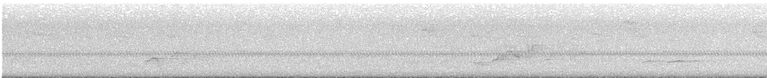 Дрізд-короткодзьоб Cвенсона - ML619839525