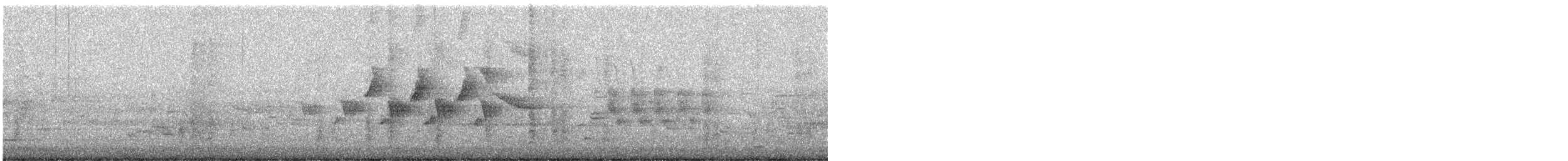 Черногорлая хвойница - ML619839875