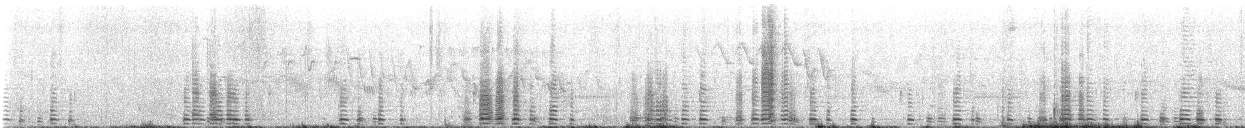 Cisne Trompetero - ML619840412