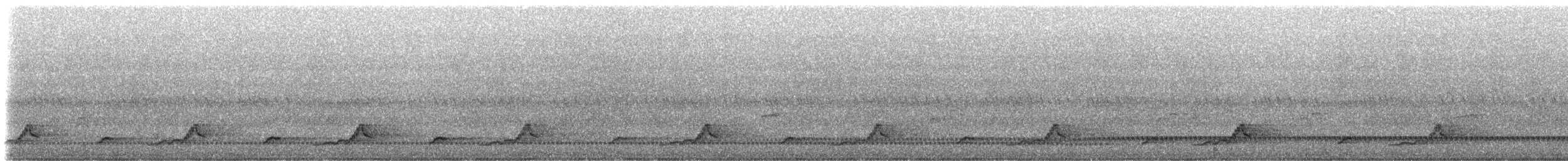 Schwarzkehl-Nachtschwalbe - ML61984101
