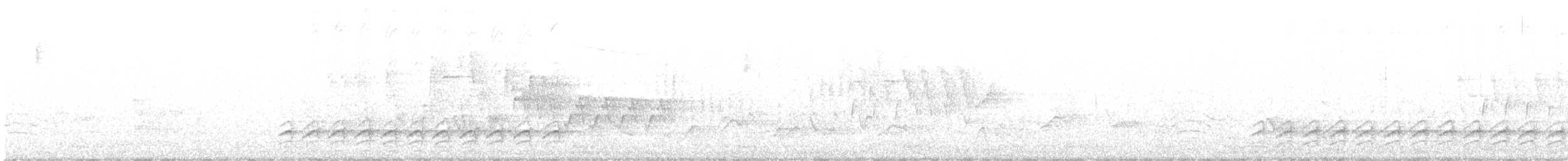 Weißbrustkleiber - ML619844908