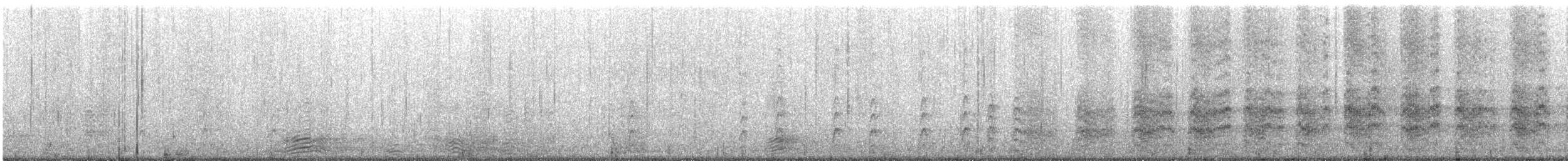 rybák jižní - ML619844949