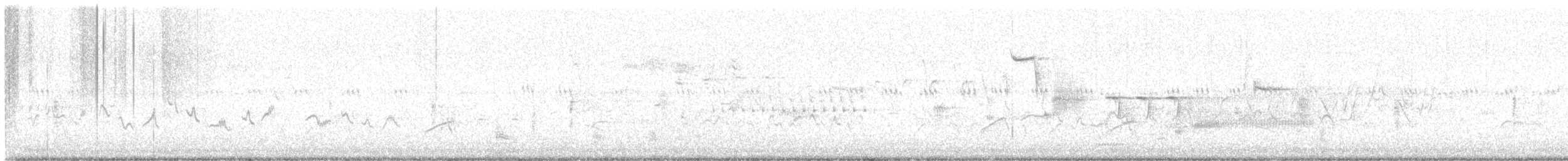 Troglodyte des marais - ML619847273
