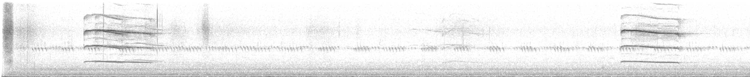 Kulaklı Orman Baykuşu - ML619847667