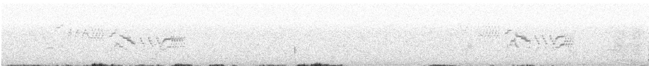 Bicknell Bülbül Ardıcı - ML619847963