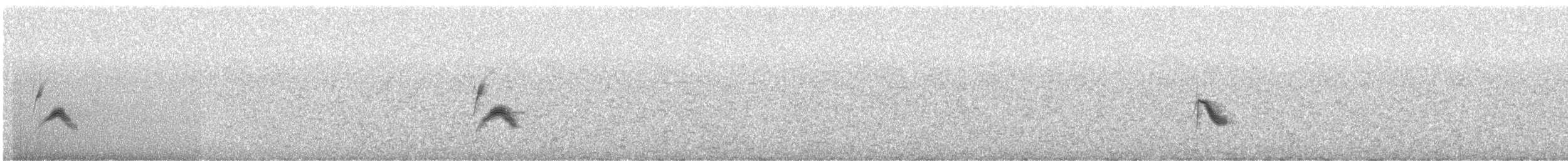 Пестрогорлый соловьиный дрозд - ML619847965