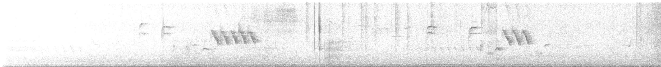 Bewick Çıtkuşu [spilurus grubu] - ML619848056