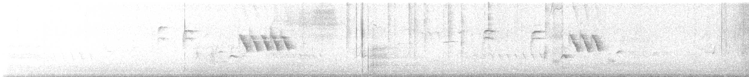 langhalesmett (spilurus gr.) - ML619848056