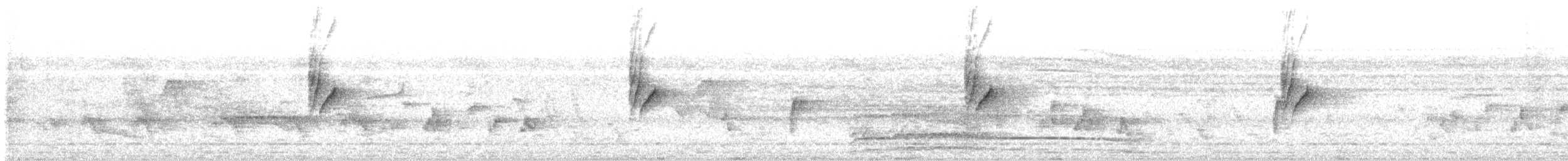 Mor Nektarkuşu - ML619848282