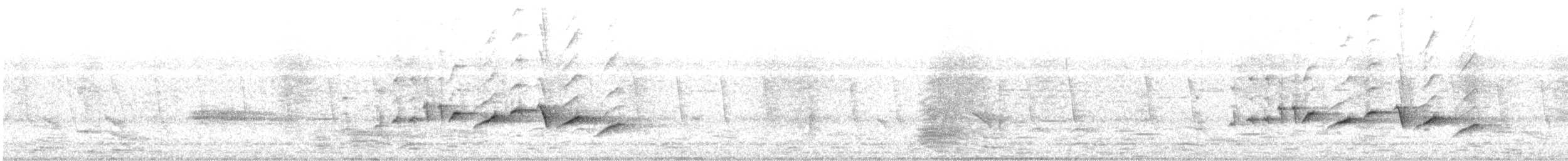 svarthodelarveeter - ML619848381
