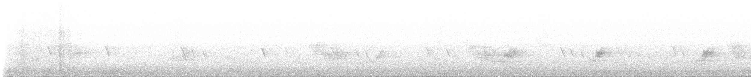Чернокрылая пиранга - ML619849326