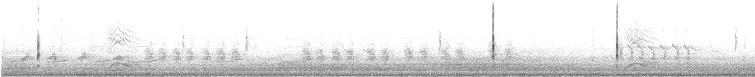 Schmalschnabel-Königstyrann - ML619850150