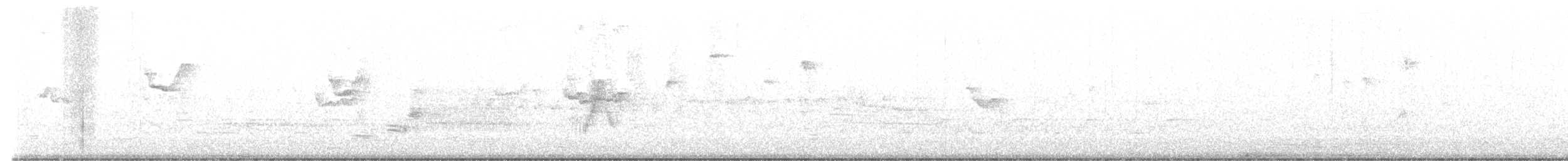 Râle de Virginie - ML619850662