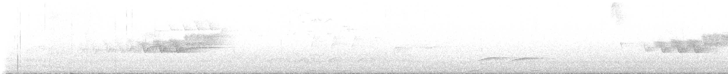 Cerulean Warbler - ML619851536