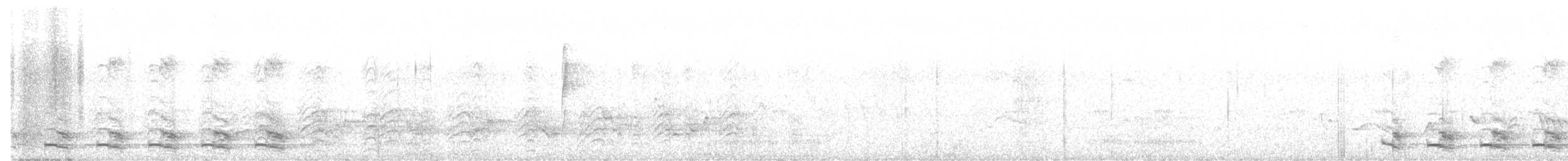 Trogon élégant - ML619852143