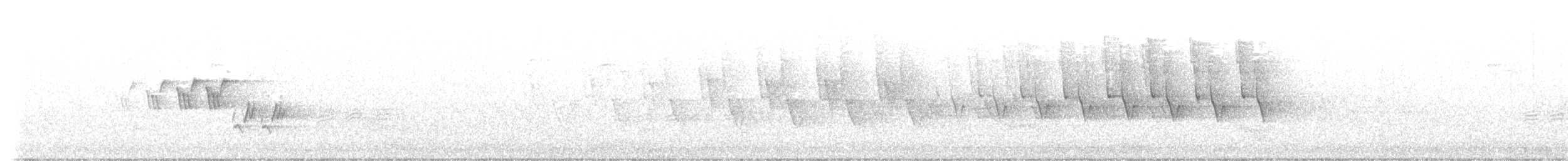 Черногорлая хвойница - ML619852491