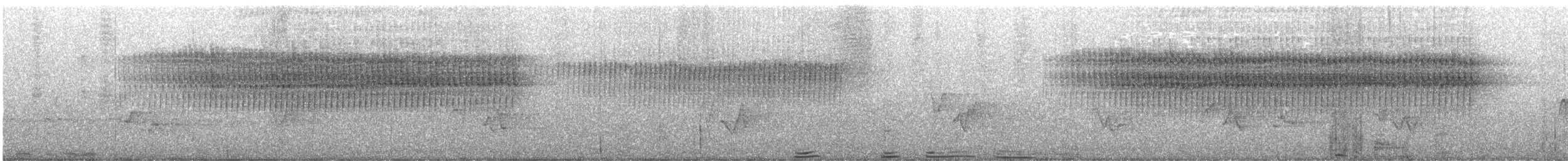 Paruline vermivore - ML619852721