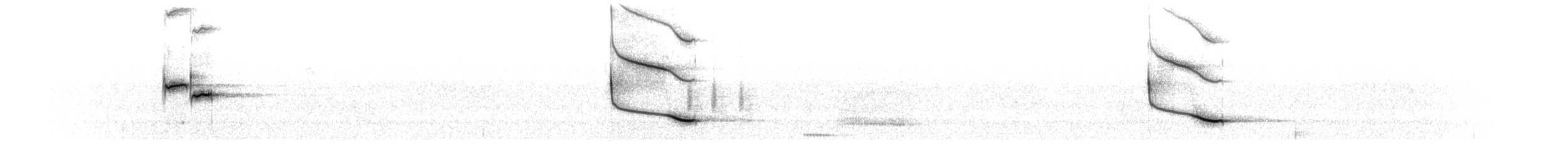 Carouge à épaulettes (groupe phoeniceus) - ML619852900