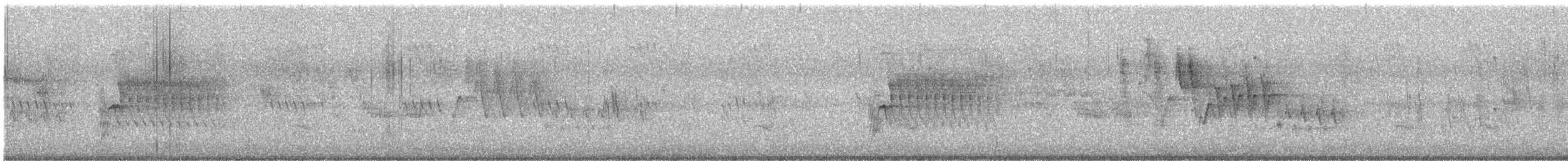 Тауї плямистий - ML619853069
