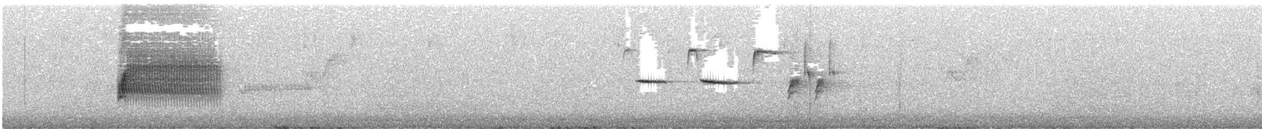 Тауї плямистий [група oregonus] - ML619853516