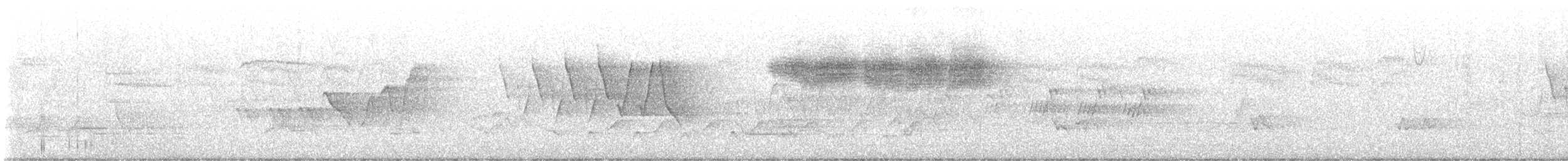 Голубокрылая червеедка - ML619855167