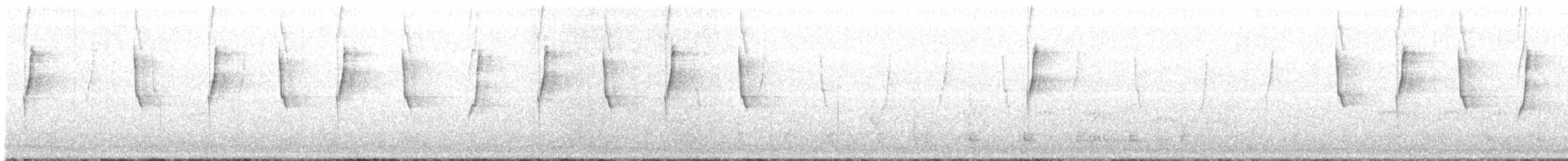 Colibri à ventre blanc - ML619855335