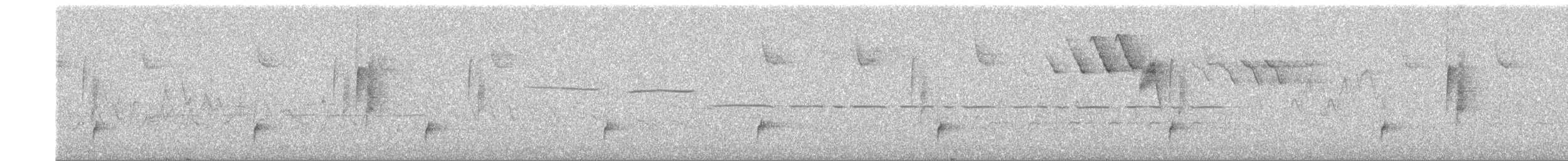 Дрізд-короткодзьоб Cвенсона - ML619855567