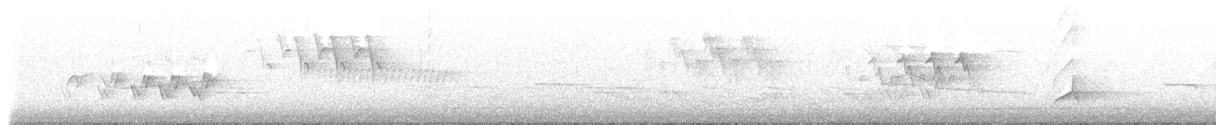 Черногорлая хвойница - ML619855725