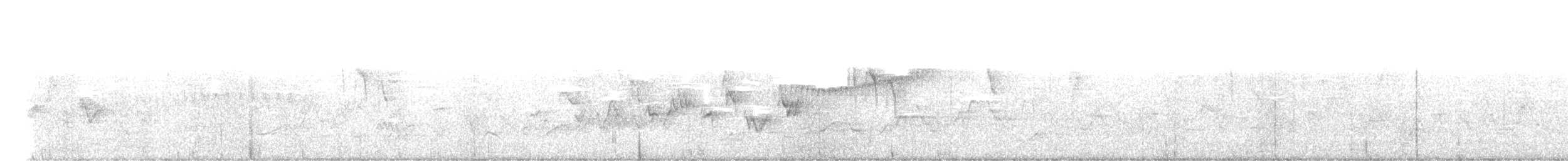 stryparula - ML619856114