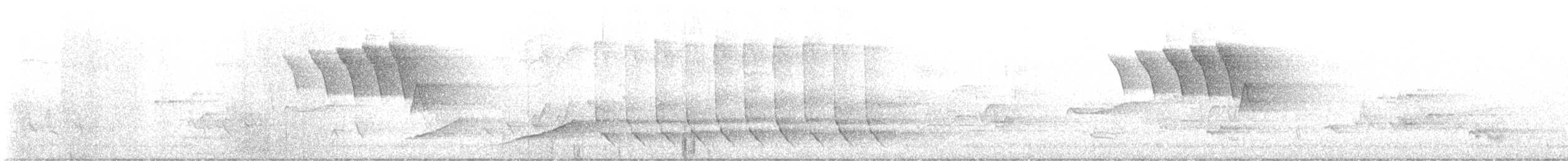 סבכון חכלילי - ML619856160