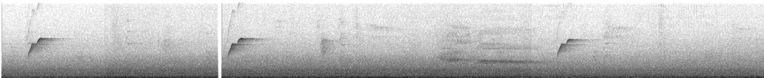 Batı Amerika Sinekkapanı (occidentalis/hellmayri) - ML619857663