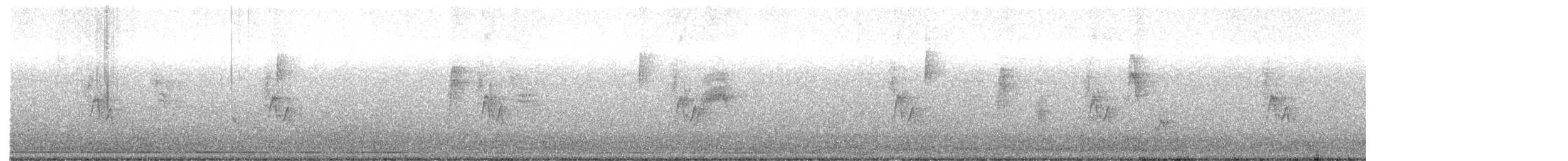 House Sparrow (Gray-cheeked) - ML619858476
