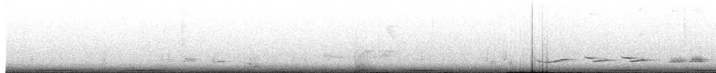 holub šedočelý - ML619860610