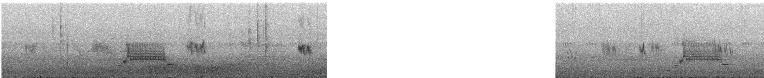 Красноплечий трупиал - ML619861968