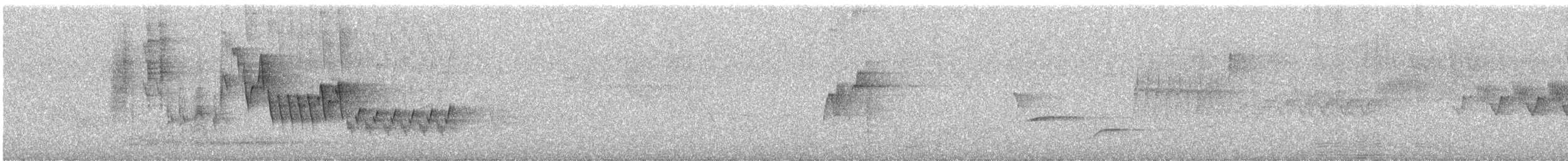 Northern House Wren (Northern) - ML619862389