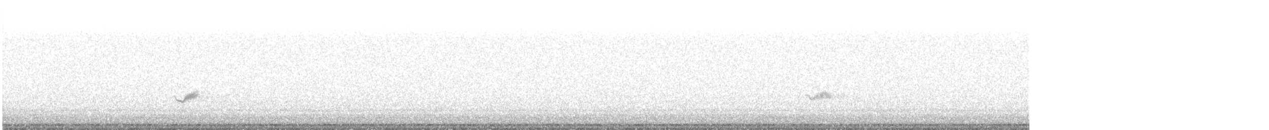 Kara Kanatlı Piranga - ML619863871