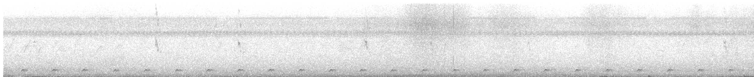 白腹秧雞 - ML619864421