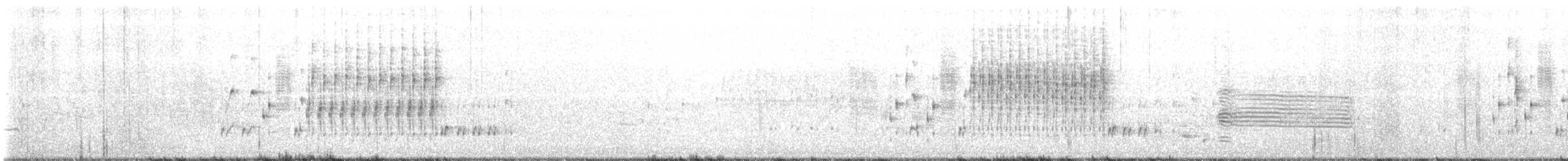 Troglodyte des marais - ML619864826