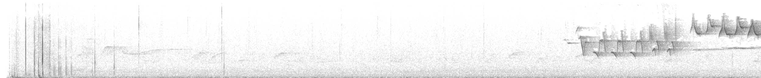 Paruline noir et blanc - ML619865404